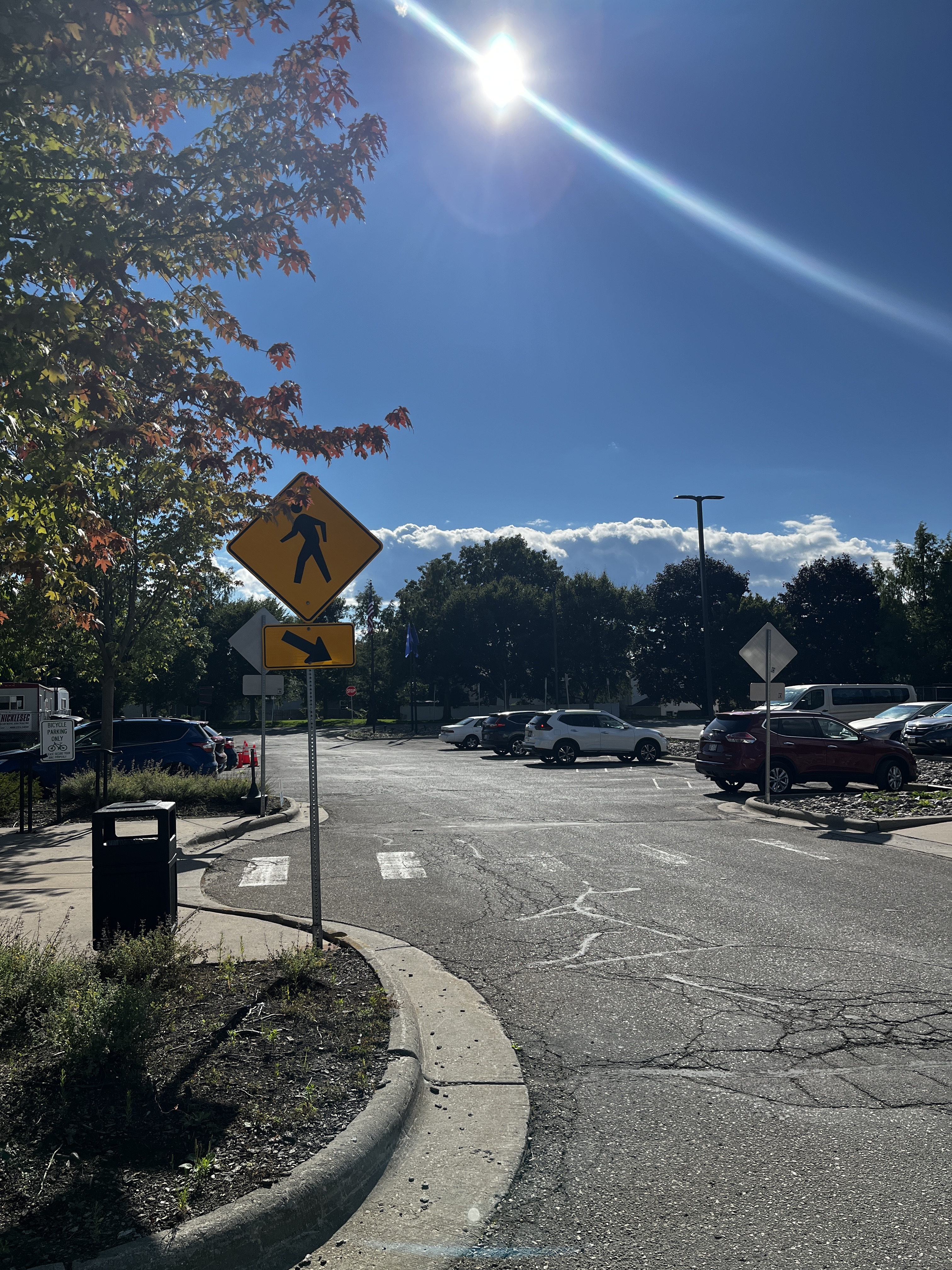 library parking lot with sun shinging overhead