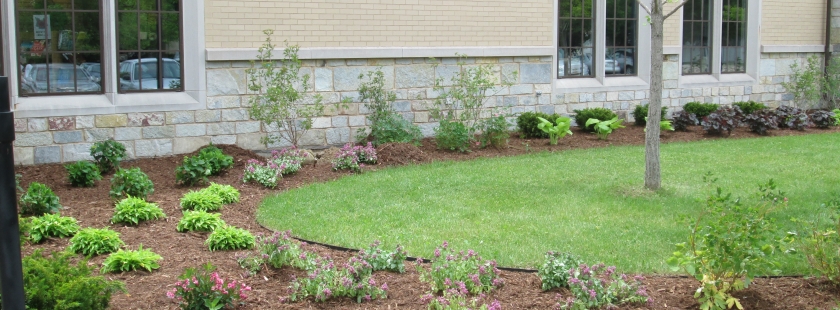 library front yard landscape