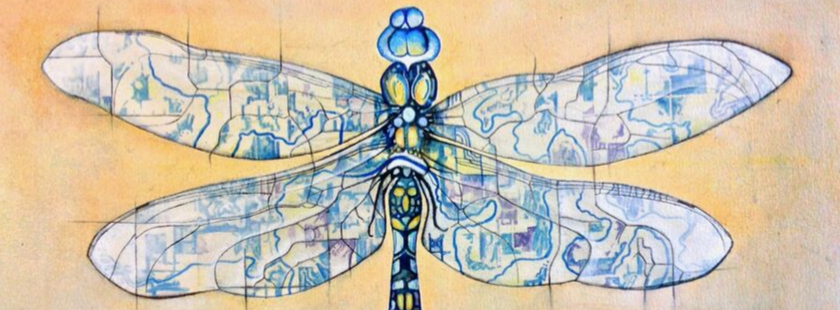 painting of a dragonfly where the patterns on the wings and body are a map of the upper iowa river