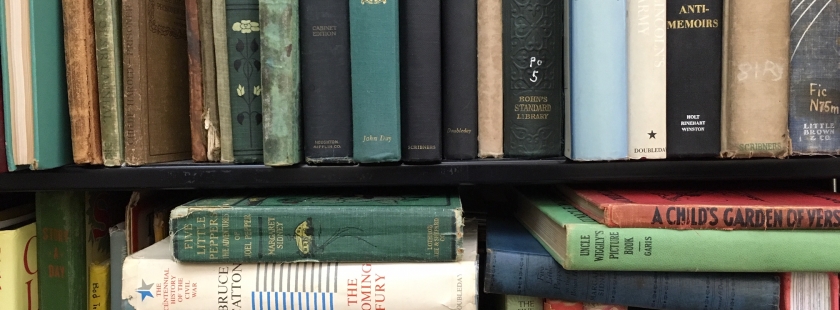 spines of books stacked on a metal shelf